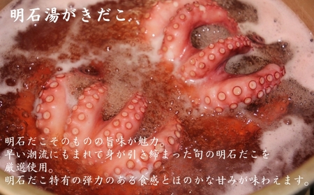 明石産 湯だこ 1匹 Mサイズ[ 明石たこ ボイルたこ 蛸 ] 魚貝類 海の幸 海鮮 身 甘い 弾力 食感 酢の物 天ぷら 明石焼 タコ焼き 食材 タコ飯 つまみ 肴 マリネ アヒージョ 国産 日本産 
