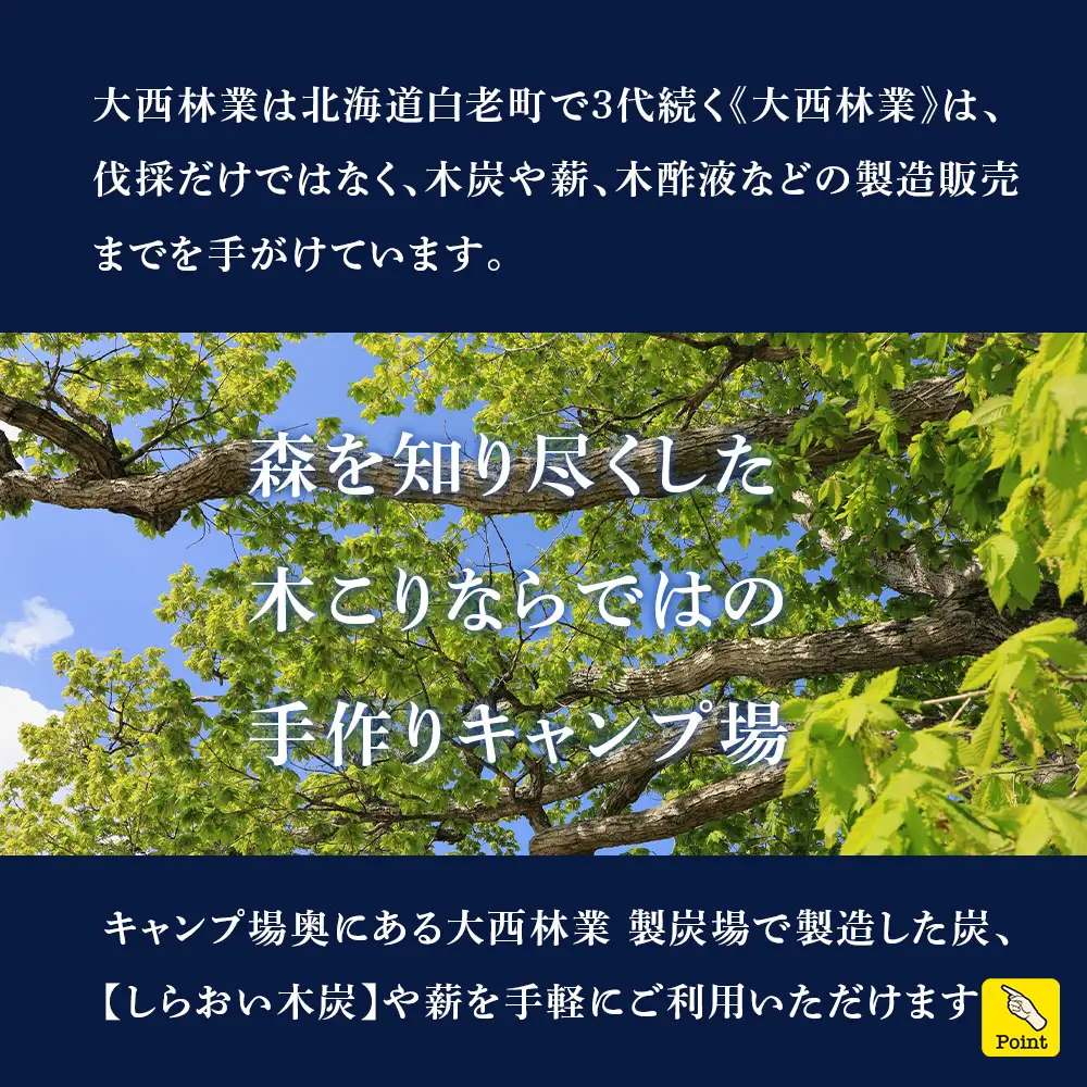 キャンプ場 利用補助券 ブウベツの森 北海道 白老町 （20,000円分）