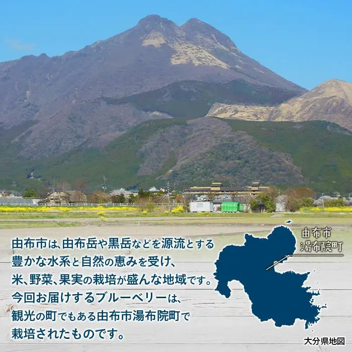 【由布市湯布院町産】 訳あり 冷凍ブルーベリー 2kg（1kg×2個）