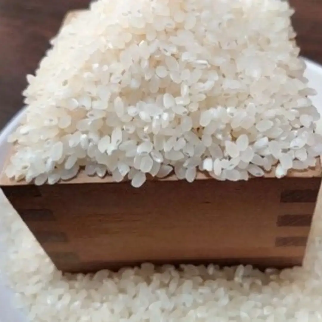 新潟県産コシヒカリ 6kg (1kg×6) 特別栽培米 令和7年産 昔ながらのはざ掛け(はざかけ)真空パック  [農事組合法人ならやま]