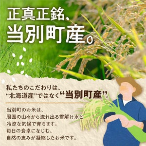 【令和7年産】精米ななつぼし5kg 北海道 当別町 お米 