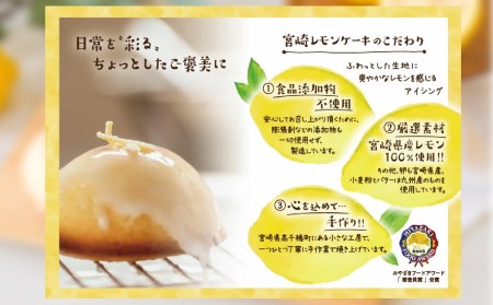 訳あり「宮崎レモンケーキ」 10個入りサイズ不揃い 欠けあり みやざきフードアワード審査員賞受賞 食品添加物不使用 宮崎県産 レモン 卵 高千穂町 _Tk022-015