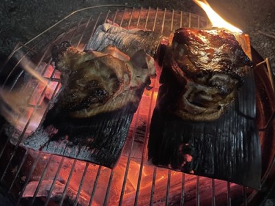 プランクBBQ体験　ペアチケット／地域活性化協議会　ふるさと納税　アウトドア　三重県　大紀町