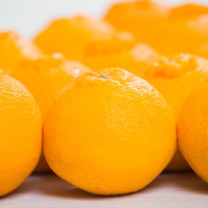 【先行予約】訳あり 減農薬 不知火 2.5kg 愛南フルーツ【2027年3月下旬～発送開始】
