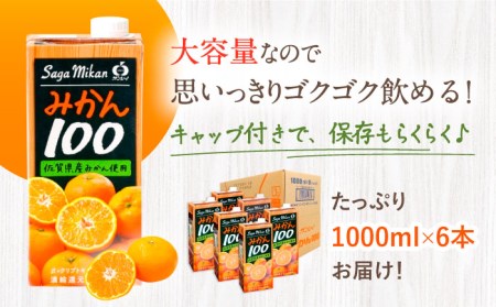 サンレイみかんジュース みかん100 1ℓ×6本 みかんジュース[FCC016]