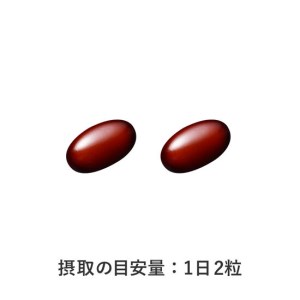 プレミアムビタミン サプリメント 約30日分 (60粒) 1袋 FUJIFILM ビタミンA ビタミンC ビタミンE ビタミンB1 ビタミンB2 ビタミンB6 ビタミンB12 ナイアシン 葉酸 パントテン酸 ビオチン 富士市 [sf001-039]