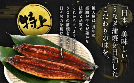 【6ヶ月定期便】九州産 うなぎ 蒲焼 特上 4尾(1尾あたり220～235g)