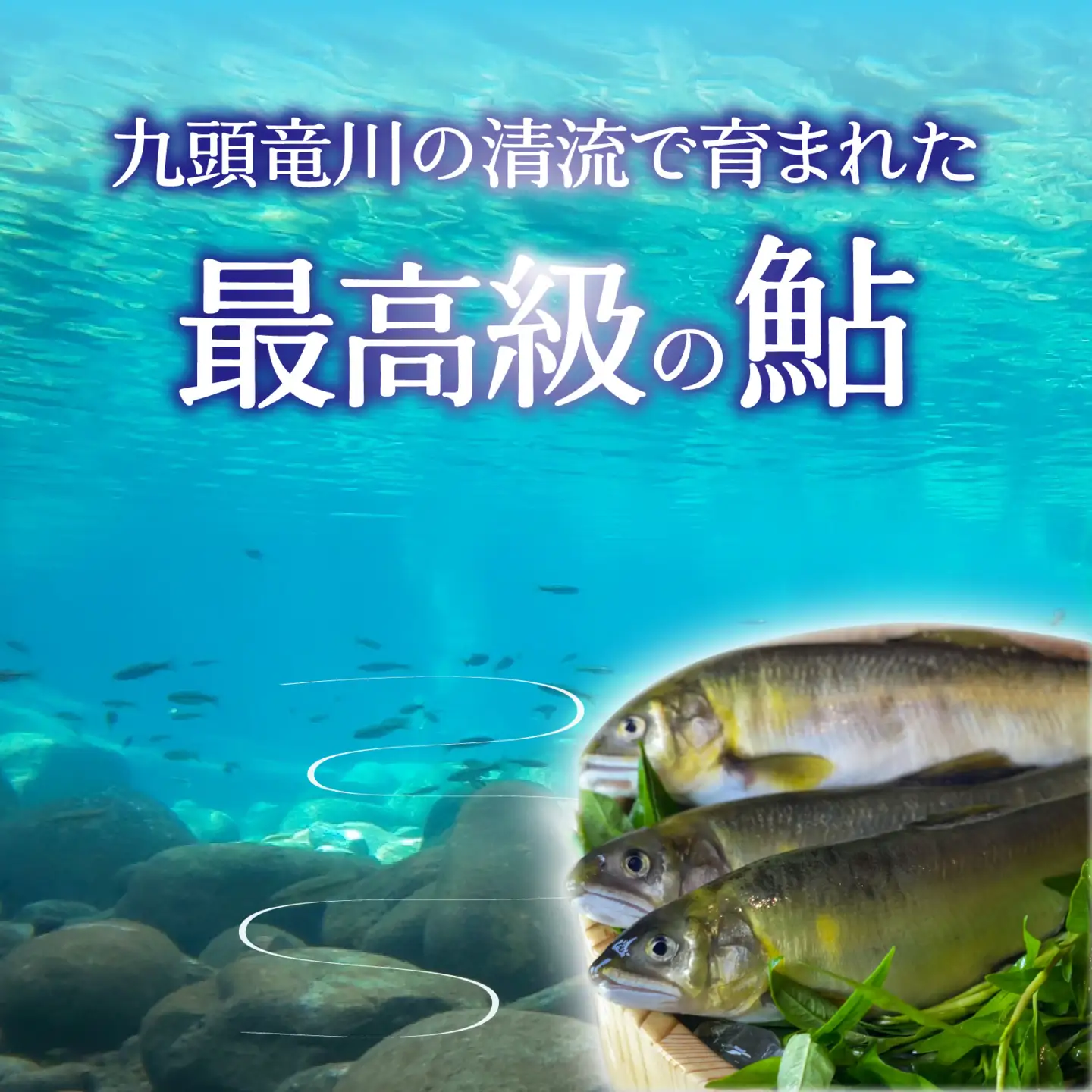 鮎開き一夜干し焼き 2～3尾 [A-016007]