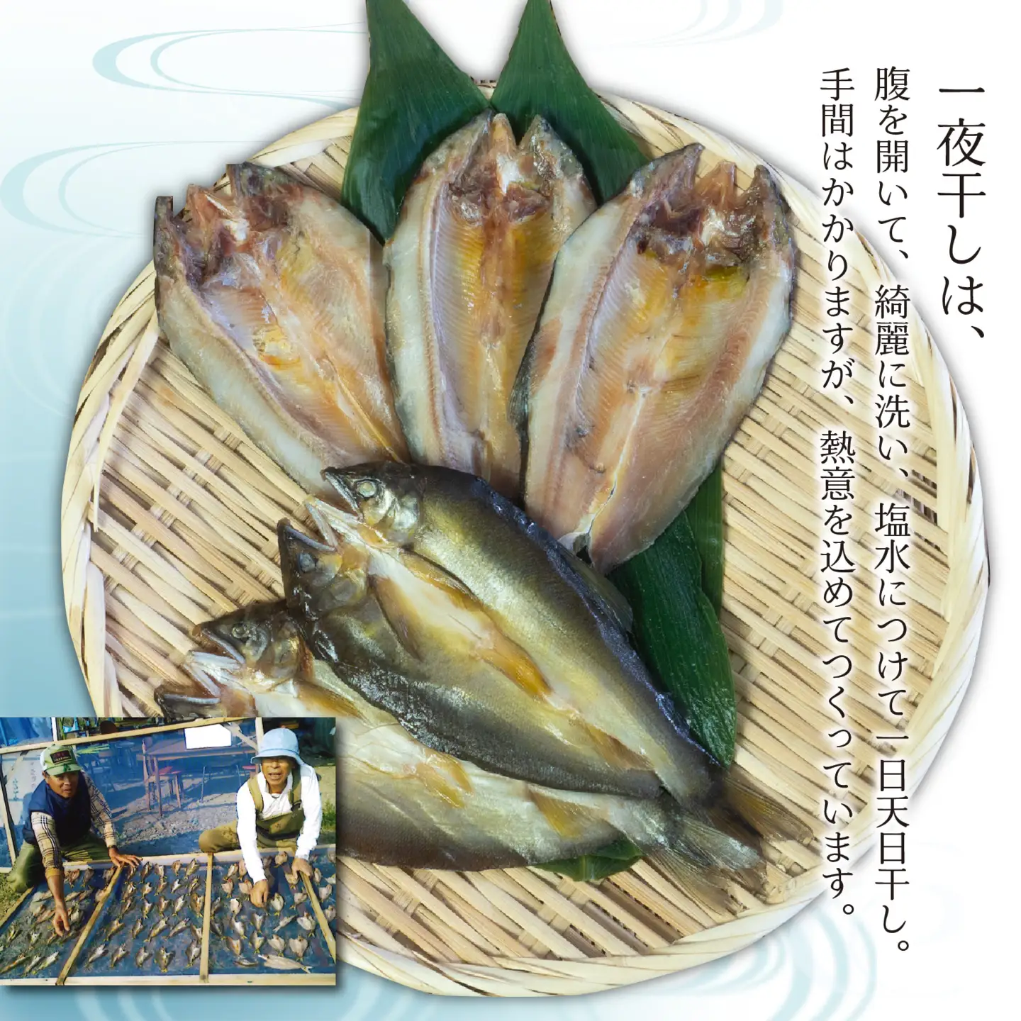 鮎開き一夜干し焼き 4～6尾 [A-016008]