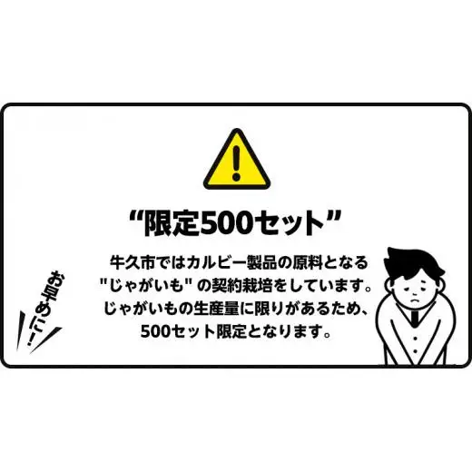 カルビー ポテトチップス BIGBAG 160g 3種 各4袋セット (計 12袋 ) うすしお ・ のりしお ・ コンソメパンチ