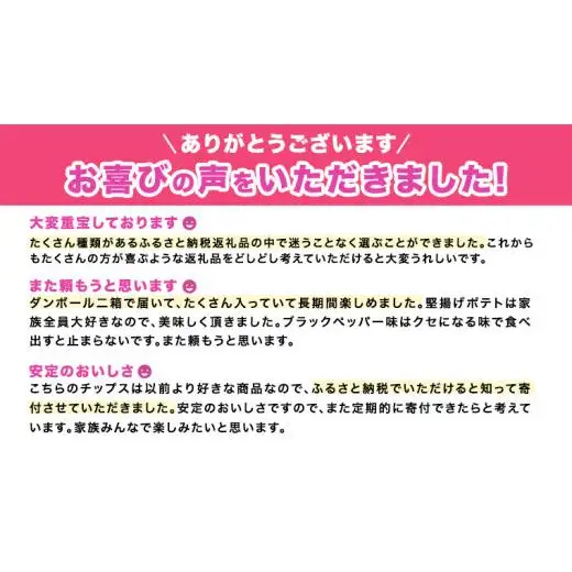 カルビー 堅あげポテト ブラックペッパー 65g × 24袋 ( 2ケース )