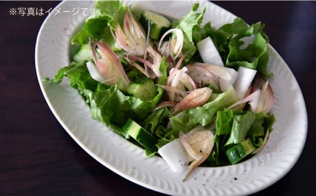 【波佐見焼】ローズマリー リムオーバル マットブラック 食器 皿 【翔芳窯】 [FE140]  波佐見焼