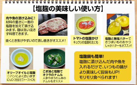 旨味を引き出す塩麹5本セット B120-074 そよかぜ