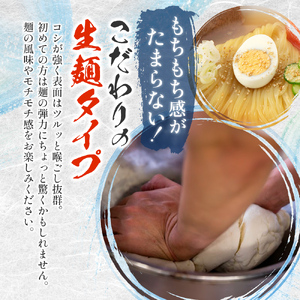 焼肉冷麺ヤマト 生麺 4食 1袋2食×2パック 人気No1商品 セット 詰め合わせ カクテキ 焼肉屋 牛骨 惣菜 昼食 夜食 冷麺 れいめん 盛岡冷麺 麺 三大麺 ヤマト 冷麺 焼肉 ごはん 夕飯 おかず スープ 加工食品 焼肉 冷麺 ヤマト 岩手県 盛岡市 東北 岩手 盛岡 ヤマトフードサービス