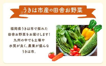 【月イチ定期便】UIC 名水うきは 旬の滋味（じみ）野菜セット (ひと月1箱×半年間=計6回)