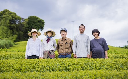 お茶 茶葉 煎茶 100g × 3袋 やぶきたみどり 有機 オーガニック 静岡県産 日本茶 お茶っ葉 アルミ チャック 付き |    
