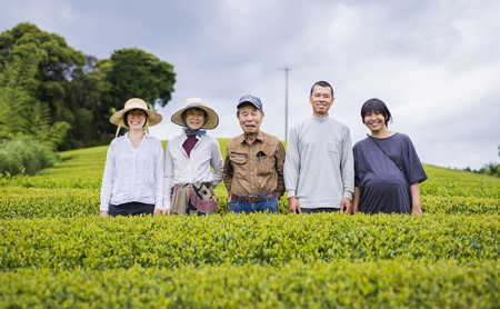 お茶 ティー バッグ 5種 詰合せ ブレンド 国産 有機 茶葉 日本茶 紅茶 パック 詰め合わせ ほうじ茶 バジル ハイビスカス ジャスミン ラベンダー セット まとめ買い 飲み比べ カテキン 健康 ハーブ 静岡県 藤枝市 |    