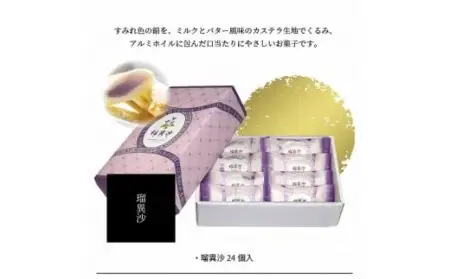 ざびえる・瑠異沙 J10019