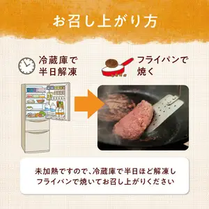 豊後牛ハンバーグ（プレーン・チーズ入り） 合計10個セット（合計約1kg） A05065