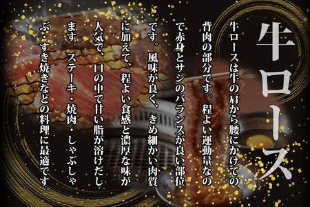 博多和牛ローススライス400g