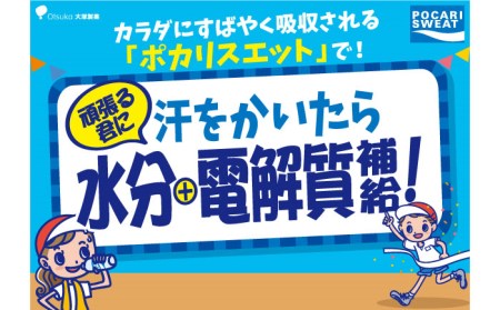＜3回定期便＞ポカリスエット 500ml×24本 ポカリスエット イオンウォーター900ml×12本セット 大塚製薬[FBD022]