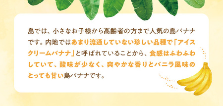 ■ 栽培期間中 農薬 ・ 除草剤 ・ 化学肥料不使用 ！ バニラ風味 の 甘い 島バナナ 1.5kg 【2026年4月上旬～2026年11月下旬お届け】 W043-006u 期間限定 果物 バナナ