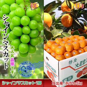 坂出産のフルーツとさぬきの特産品の定期便4回【Cコース】