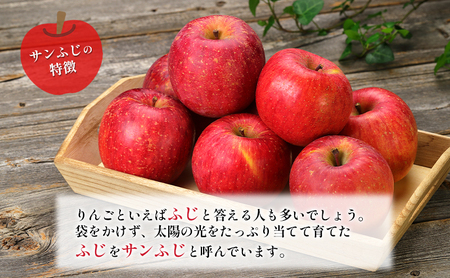 訳あり りんご JA信州うえだ 合戦りんご サンふじ 約10kg リンゴ 林檎 ふじ 果物 くだもの フルーツ 信州 長野 離乳食 訳アリ わけあり 傷