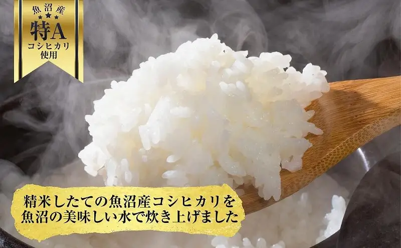 新潟県 魚沼産 備蓄 コシヒカリ ご飯 200g×20 パック ごはん レンジ 簡単 巣籠り 無添加 パックご飯 ブランド米 便利 簡単調理 温めるだけ 