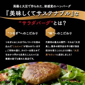 【原料は100%植物由来】サラダバーグ・アスリート（たんぱく質強化でカレー味）8個セット F21K-237