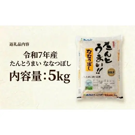 米 ななつぼし 5kg ＜令和7年産＞ たんとうまい 北海道 安平町【1340412】