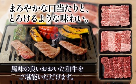 おおいた和牛 焼肉セット 肩ロース 500g カルビ 500g 赤身焼き肉 500g | お肉 肉 おにく にく 牛 牛肉 和牛 国産牛 豊後牛 ステーキ肉 焼肉 焼き肉 ロース 赤身肉 セット 冷凍 国産 大分県産 九州産 大分県 中津市