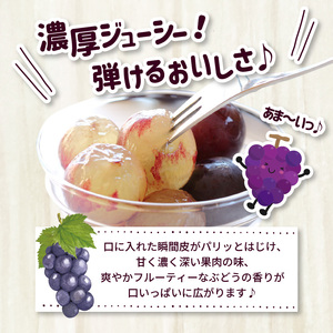 【7月下旬より順次発送】池尻農園　ハウス巨峰　約1kg_巨峰 約 1kg ぶどう 3房 久留米市産 渋み エグミ 無い フルーツ 果物 期間限定 池尻農園 ハウス巨峰 福岡県 久留米市 お取り寄せ お取り寄せフルーツ デザート 〔Fg007〕