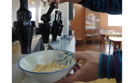 うどん 冷凍 出汁のみ 300g×5袋