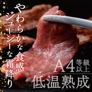 おおいた和牛 赤身 焼肉 (300g) 国産 牛肉 肉 霜降り 低温熟成 肩 モモ A4 和牛 ブランド牛 BBQ 冷凍 大分県 佐伯市【DH240】【(株)ネクサ】