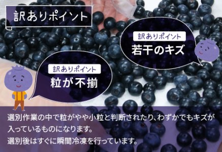 【先行予約】【7月中旬以降順次発送】【訳あり】令和8年産〈冷凍〉手摘み有機ブルーベリー1kg（500g × 2パック）