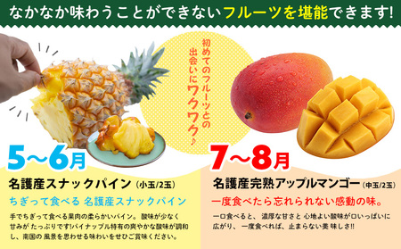 フルーツ【名護パイン園】旬の南国フルーツ定期便（6回コース）パイン マンゴー たんかん ドラゴンフルーツ  バナナ