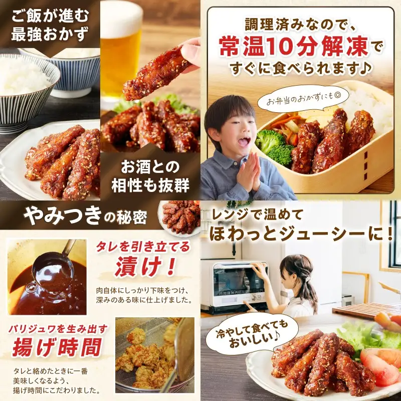 ＜とりいち＞の手羽スティック(ぴり辛) 5パック【B3-055】