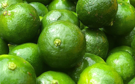 【勝山シークヮーサー青切り・完熟】 300ml×2本 100％果汁 