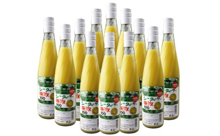 シークヮーサー原液1ケース/12本入