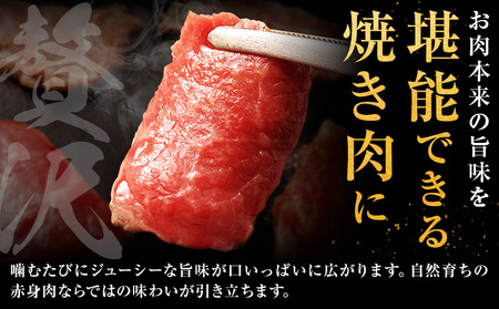 生産者直送！GI認証 くまもとあか牛 すき焼き用 500g ・ 焼き肉用 500g 食べ比べセット山の里《60日以内に出荷予定(土日祝除く)》熊本県 産山村 BBQ 焼き肉 焼肉 すき焼き くまもとあか牛 赤身 和牛 牛肉 牛 国産 あか牛 贈り物【配送不可地域あり】