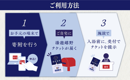 入浴券 2冊セット NBZ001 嬉野温泉 日帰り入浴券