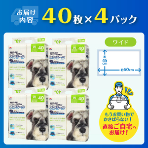ペットシーツ ネオシーツセレブ ワイド160枚 (40枚×4袋) 高速シャットアウト吸収 大容量 高品質 ストロング消臭 クエン酸 足漏れ防止 犬 猫 ペット 日用品 コーチョー 富士市 [sf002-147]