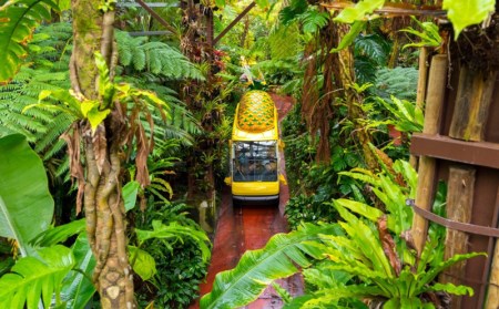 ワイン パイナップルワイン甘口＆辛口セット