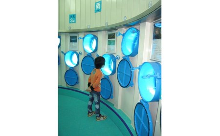 海中展望塔&グラス底ボート　大人2名様【ブセナ海中公園】