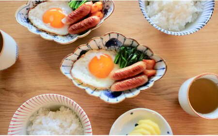 有田焼 人気の十草お茶碗 ペアセット 【まるぶん】 おちゃわん ごはんちゃわん 2人用 A24-6