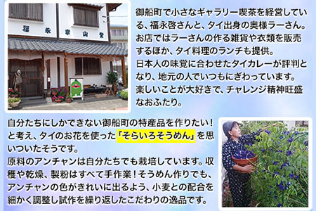 そらいろそうめん濃色6個 福永幸山堂