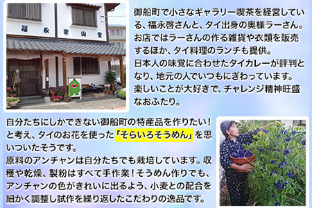 そらいろそうめん薄色2個 福永幸山堂
