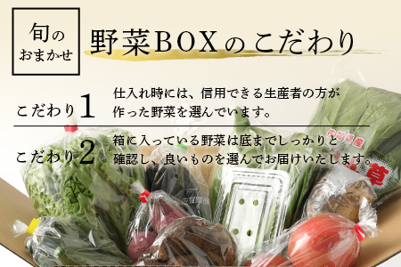  【６ヶ月定期便】旬のおまかせ 野菜BOX 野菜定期便 旬の野菜 詰合せ 野菜 新鮮 野菜 8～10品目E-72