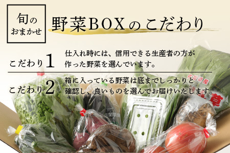【12ヶ月定期便】旬のおまかせ 野菜 BOX 野菜定期便 旬の野菜 詰め合わせ 野菜 新鮮 野菜 8～10品目 H-13